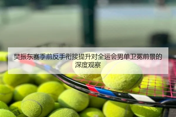 樊振东赛季前反手衔接提升对全运会男单卫冕前景的深度观察